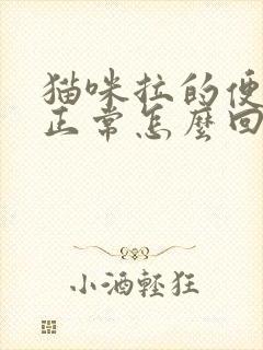 猫咪拉的便便不正常怎么回事