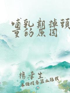 哺乳期掉头发严重的原因