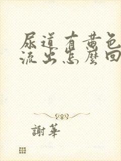 尿道有黄色液体流出怎么回事