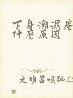 下身潮湿瘙痒是什么原因