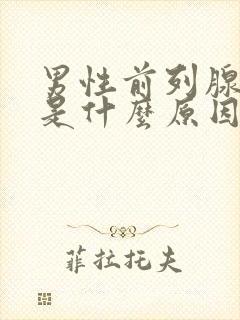 男性前列腺结石是什么原因引起的