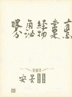 眼角经常有白色分泌物是怎么回事