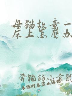 母猫故意一直尿床上怎么办