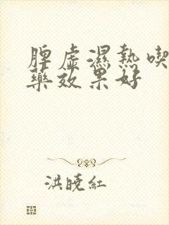 脾虚湿热吃什么药效果好