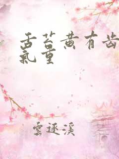 舌苔黄有齿痕湿气重