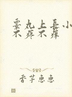 睾丸上长小疙瘩不疼不痒