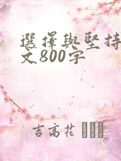 选择与坚持议论文800字