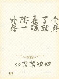 外阴长了个硬疙瘩一碰就疼