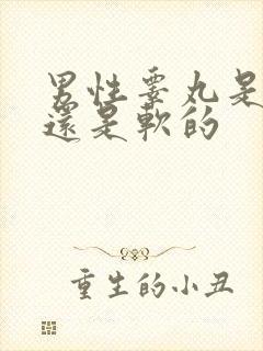 男性睾丸是硬的还是软的