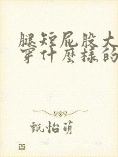 腿短屁股大适合穿什么样的裤子