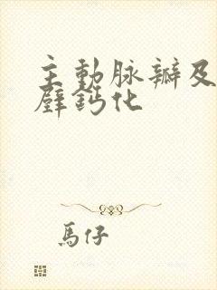 主动脉瓣及冠脉壁钙化