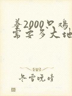 养2000只鸡需要多大地方