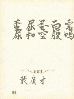 查尿蛋白需要晨尿和空腹吗