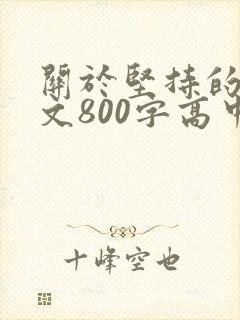 关于坚持的议论文800字高中