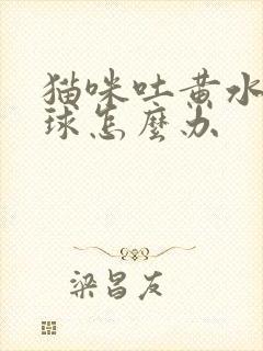 猫咪吐黄水和毛球怎么办