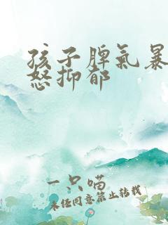 孩子脾气暴躁易怒抑郁