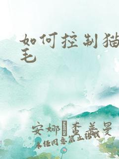 如何控制猫咪掉毛