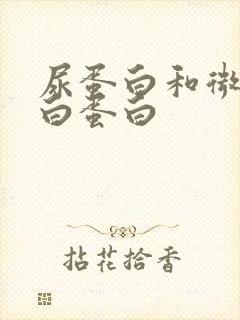 尿蛋白和微量尿白蛋白