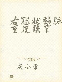 右冠状动脉近端重度狭窄