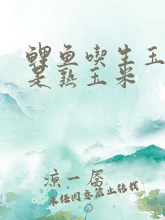 鲤鱼吃生玉米还是熟玉米