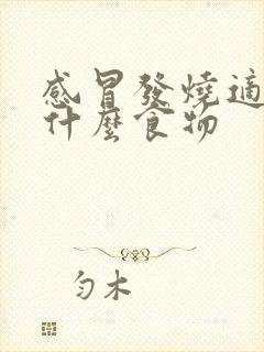 感冒发烧适合吃什么食物