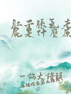 肚子胀气老是放屁是什么原因怎么解决