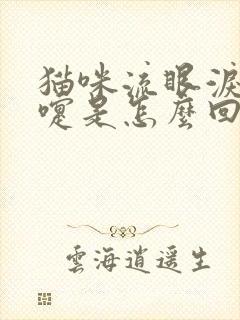 猫咪流眼泪打喷嚏是怎么回事