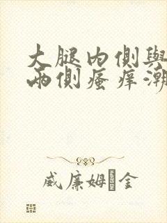 大腿内侧与阴囊两侧瘙痒潮湿有点臭