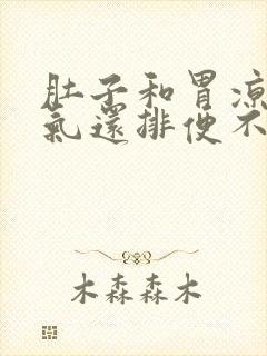 肚子和胃凉还胀气还排便不好