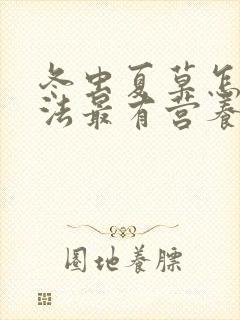 冬虫夏草怎么吃法最有营养