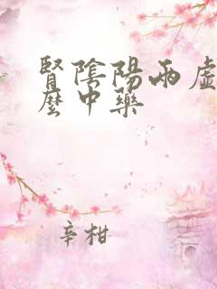 肾阴阳两虚吃什么中药