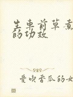 生车前草煮水喝的功效