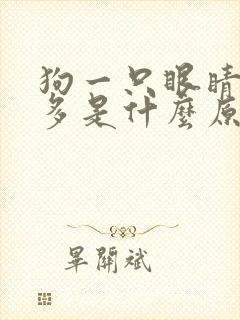 狗一只眼睛眼屎多是什么原因