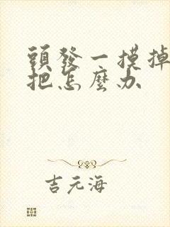 头发一摸掉一大把怎么办