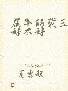 属牛的戴玉貔貅好不好