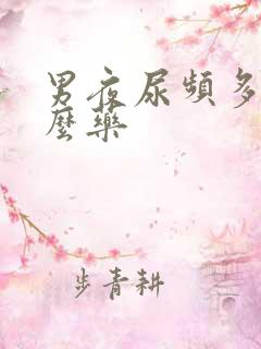 男夜尿频多吃什么药