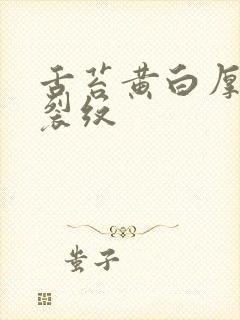 舌苔黄白厚腻有裂纹