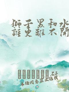 狮子男和水瓶女谁更离不开谁