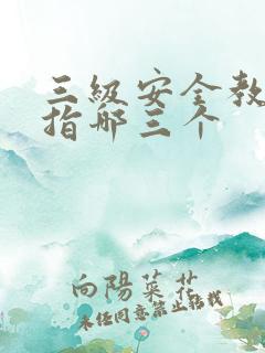 三级安全教育是指哪三个