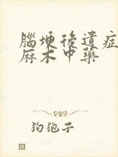 脑埂后遗症肢体麻木中药