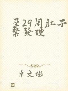 孕29周肚子发紧发硬