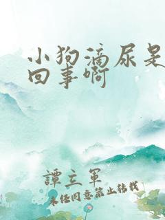 小狗滴尿是怎么回事啊