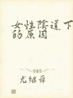 女性阴道下出血的原因