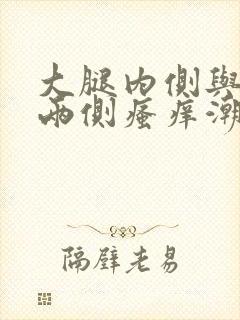 大腿内侧与阴囊两侧瘙痒潮湿发黑买什么药