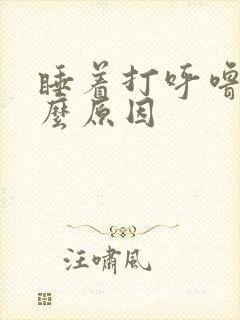 睡着打呼噜是什么原因