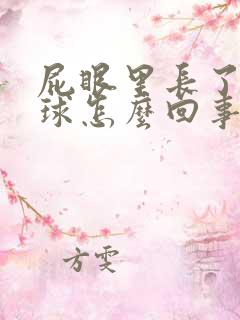 屁眼里长了个肉球怎么回事