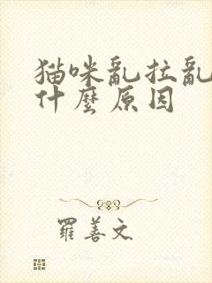 猫咪乱拉乱尿是什么原因