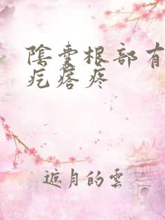 阴囊根部有个硬疙瘩疼