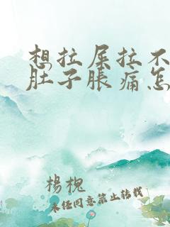 想拉屎拉不出来肚子胀痛怎么办