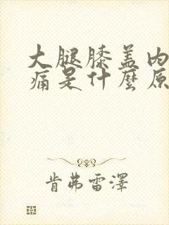 大腿膝盖内侧疼痛是什么原因